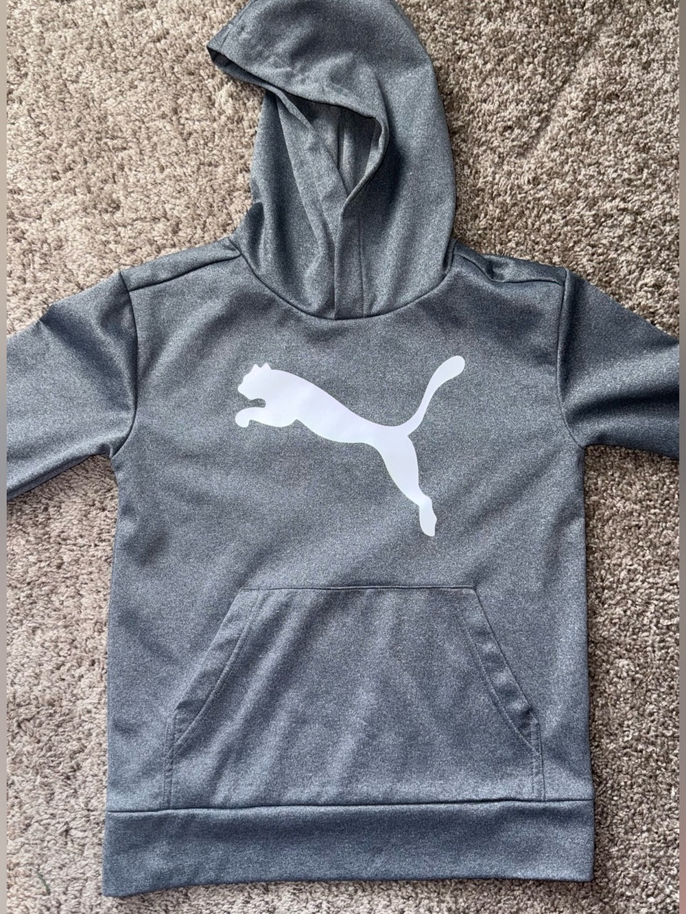 Puma Kids S Gray Hooded Pullover